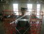 Helicopter Scaffoldings5